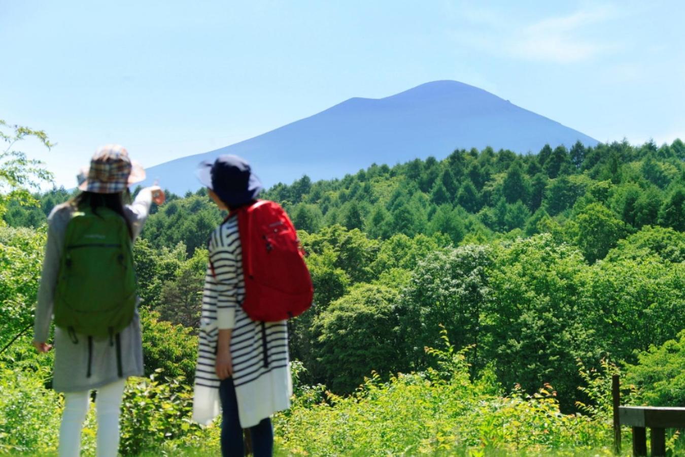Ana Holiday Inn Resort Karuizawa By Ihg Kita-karuisawa 외부 사진